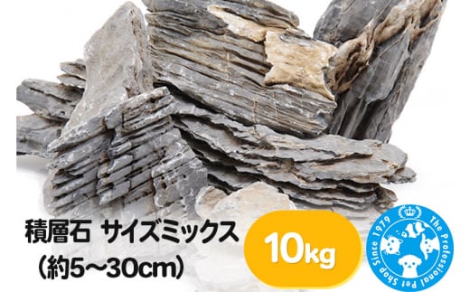 積層石 サイズミックス（約5～30cm）10kg 848417 - 群馬県邑楽町