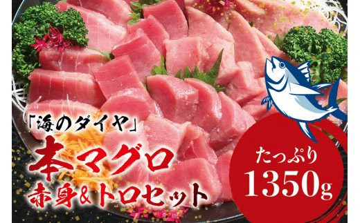 本マグロ（養殖）トロ＆赤身セット 1350g ＜1月発送＞ / 高級 クロマグロ 中トロ 中とろ 大トロ 大とろ まぐろ マグロ 鮪 刺身 赤身 柵 じゃばらまぐろ 本マグロ 本鮪【nks111B-1】 1059646 - 和歌山県紀美野町