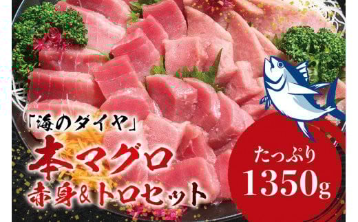  本マグロ（養殖）トロ＆赤身セット 1350g ＜10月発送＞ / 高級 クロマグロ  中トロ 中とろ 大トロ 大とろ まぐろ マグロ 鮪 刺身 赤身 柵 じゃばらまぐろ 本マグロ 本鮪 【nks111B-10】 2256292 - 和歌山県紀美野町