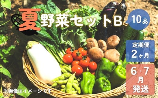 【予約受付/2025年産】夏野菜セットB (10品)【 2ヶ月 定期便 】 6・7月発送 1041274 - 岩手県北上市