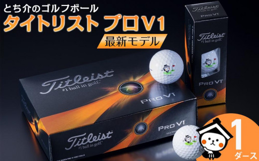 とち介のゴルフボール【タイトリスト プロV1】最新モデル ゴルフボール 