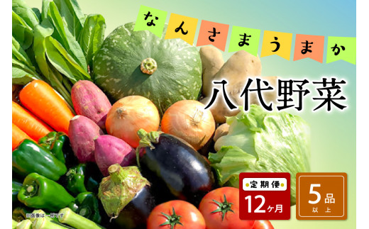 【定期便12回】なんさまうまか八代野菜セット 5品以上 やさい 詰め合わせ 熊本県産