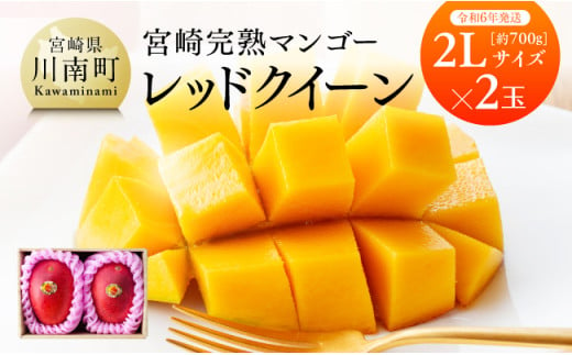 令和６年発送 】 宮崎県産完熟マンゴー 「 レッドクイーン 」 2L×2玉