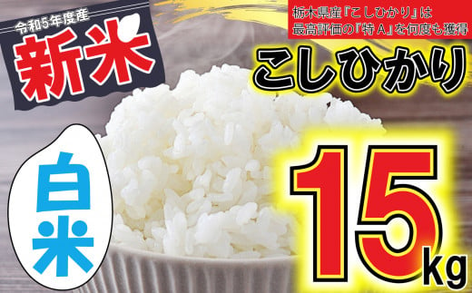 谷津田のこしひかり 新米 白米 15kg 真岡市 栃木県 送料無料 - 栃木県 ...