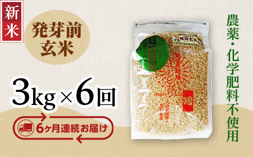 令和5年産新米 新潟県産コシヒカリ 20㎏ 玄米(精米可) - 米