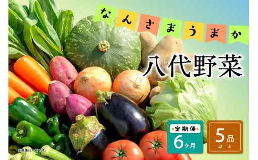 【定期便6回】なんさまうまか八代野菜セット 5品以上 やさい 詰め合わせ 熊本県産