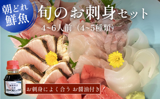 [朝どれ!氷見直送] 旬の鮮魚 お刺身セット 4〜6人前[冷蔵] お届け指定なし | 配送地域限定 翌日お届け 新鮮 海の幸 柵