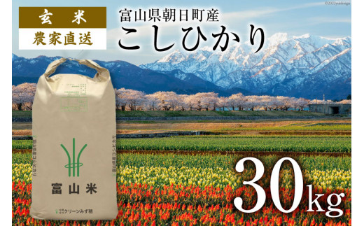 玄米 令和5年 こしひかり 30kg / クリーンみず穂 / 富山県 朝日町