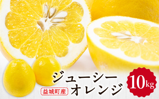 ジューシーオレンジ 約10kg 柑橘類 晩柑 熊本県産