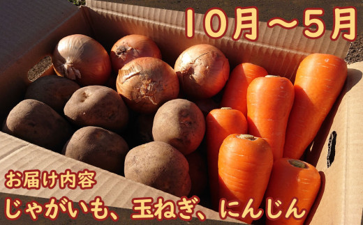 先行受付】常備野菜 セット 約5kg じゃがいも 玉ねぎ にんじん