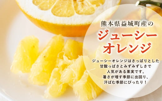 ジューシーオレンジ 約10kg 柑橘類 晩柑 熊本県産