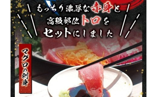 本マグロ（養殖）トロ＆赤身セット 500g 【5月発送】 / 高級