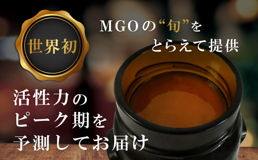 定期便】全6回 ストロング マヌカハニー 【MGO860+】500g（FC027-XY