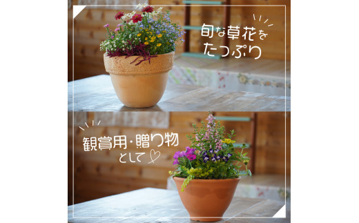 【２コセット】テラコッタ オーバル 50㎝・38㎝ 植木鉢