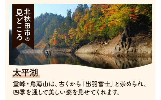 定期便6ヶ月》【選べる配送時期】あきたこまち 5kg (5kg×1袋) (三分