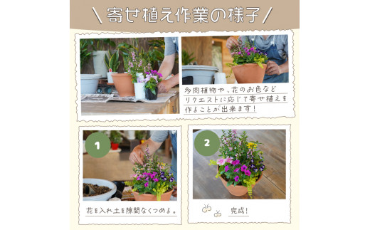 季節の花の寄せ植え     大阪府泉南市｜ふるさと