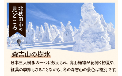 ふるさと納税 天然秋田杉柄杓 秋田県北秋田市-