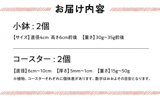 多肉小鉢とオリーブウッドコースター2個セット 長与町/アグリューム [EAI094]|株式会社アグリューム