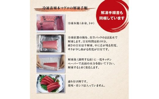 本マグロ（養殖）トロ＆赤身セット 500g 【5月発送】 / 高級