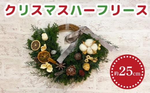 クリスマスリースX'mas wreath天然生プリザーブドドライツリー大きい-