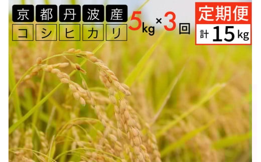 【定期便】令和7年産 新米 5kg 3ヶ月 京都丹波産 コシヒカリ 白米＜JA京都 たわわ朝霧＞ 3回定期便 5kg×3回 計15kg 毎月発送に合わせて精米