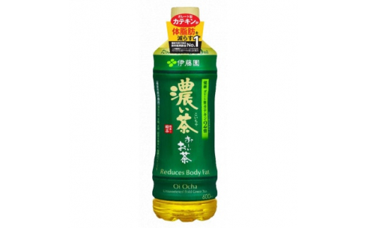 2023年11月発送開始『定期便』おーいお茶濃い茶600ml 48本(2ケース)全6