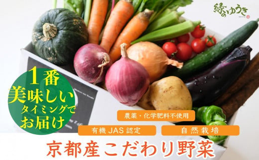 【緑のゆうき】〈6月以降発送〉野菜の売上の１％が社会の応援に　京都産こだわりの野菜（有機野菜、栽培期間中農薬・化学肥料不使用など）の一番美味しいタイミングで収穫したセット 1037548 - 京都府京都市