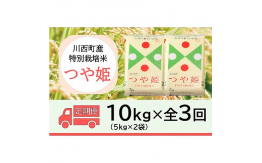 2023年11月発送開始『定期便』川西町産　特別栽培米「つや姫」精米10kg(5kg×2袋)全3回【5169253】 1037121 - 山形県川西町