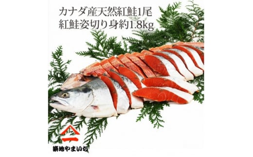 天然紅鮭 1尾姿切身 甘塩 約1.8kg【1429656】 1037490 - 千葉県いすみ市