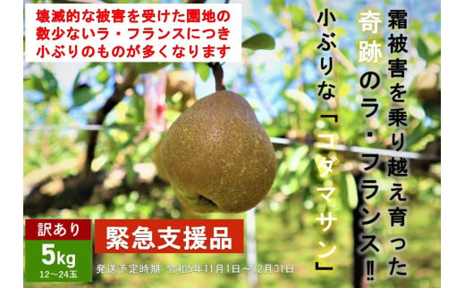 山形県上山市の果物選びに迷ったとき必読！あなたの一番がきっと