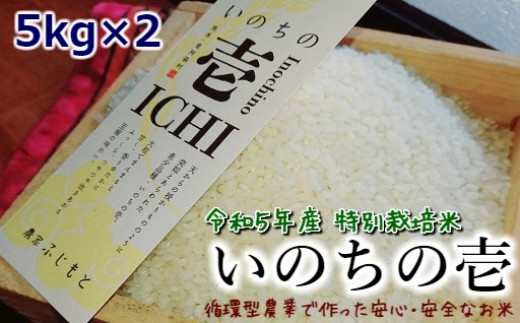 [B008-059106]令和5年産特別栽培米 いのちの壱(白米)5kg×2