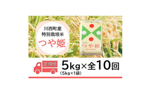 2023年11月発送開始『定期便』川西町産　特別栽培米「つや姫」精米5kg(5kg×1袋)全10回【5169241】 1037120 - 山形県川西町