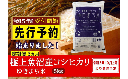 先行予約】【定期便／３ヵ月】ゆきまち米５kg 極上魚沼産コシヒカリ 令