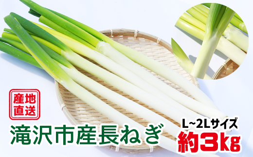 令和５年度産 滝沢市産長ねぎ 約３kg 《Lから２Lサイズ》20本～30本