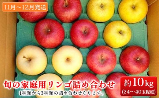青森県産  金星  りんご  家庭用 10kg  産地直送 リンゴ 林檎わがまま詰め合わせセット