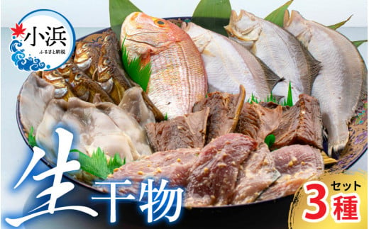 【加福鮮魚】 季節の旬の魚をお届け！"生"干物厳選詰め合わせ 計900g以上 695286 - 福井県小浜市