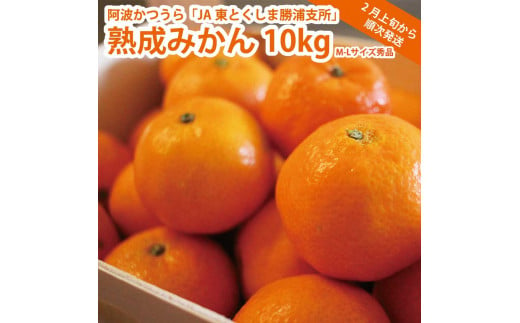 JA東とくしま 勝浦熟成みかん 10kg M-Lサイズ 秀品 782928 - 徳島県勝浦町