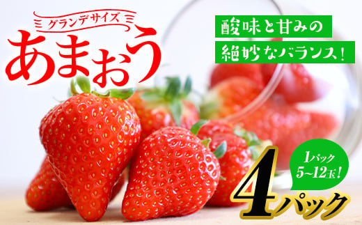 先行予約受付中！2024年2月から順次発送予定＞いちごの王様 あまおう