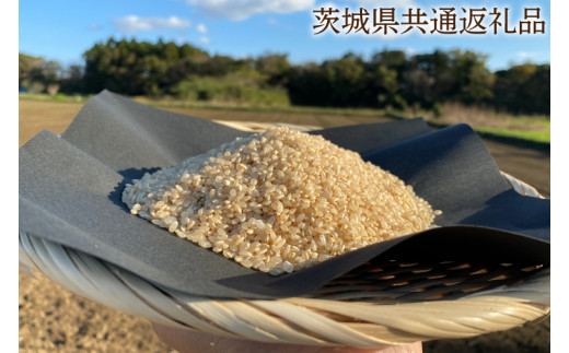 KBE-30　【できるだけ農薬を減らした】こしひかり 玄米10kg 【茨城県共通返礼品・行方市産】 1040284 - 茨城県鹿嶋市