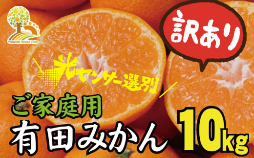 12月27日受付分まで年内配送／ 【訳あり】農家直送 有田みかん 約10kg