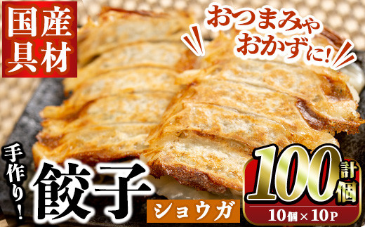 手作りショウガ餃子(計100個・10個×10パック、たれ付き)