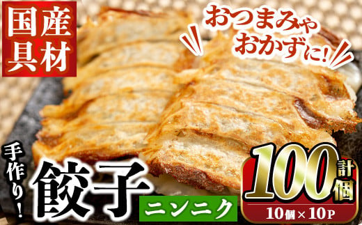 手作りニンニク餃子(計100個・10個×10パック)
