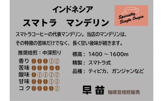 東京都新宿区のふるさと納税 【早苗】焙煎珈琲豆（どっしりとした苦みを味わうセット　3種×各100g）豆 スペシャルティコーヒー 珈琲 セット 3種 しっかり焙煎 苦め コク深 ジッパー チャック付き 豆 東京 新宿 0020-005-S05-1