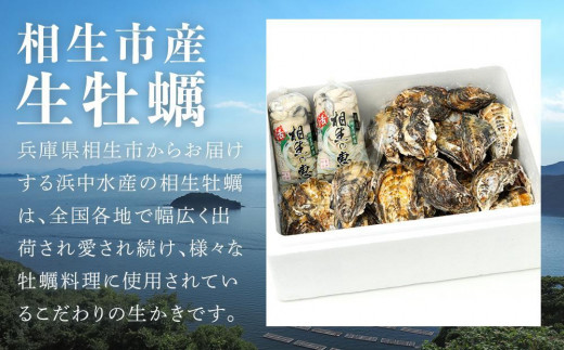 ふるさと納税 兵庫県 相生市 むき身 生牡蠣500gx2 - 牡蠣
