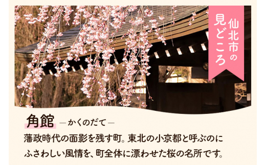 彩り歳時記11月　どんぐり拾い＜あきた芸術村 森林工芸館＞