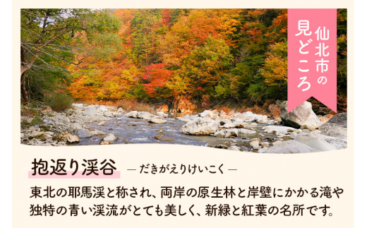 白米】令和4年産 秋田県仙北市角館町産 あきたこまち 20kg - 秋田県