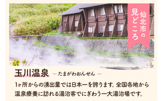 あきたこまち炭壌米 5kg＋900g - 秋田県仙北市｜ふるさとチョイス