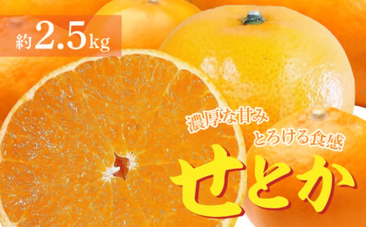 M72-0023_濃厚な甘み、とろけるような食感の「せとか」							 636001 - 香川県三豊市
