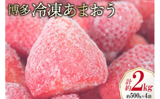 いちご 博多 冷凍あまおう 約500g×4袋 計約2kg [エイチアンドフューチャーズ 福岡県 筑紫野市 21760521] 果物 フルーツ 苺 イチゴ あまおう 冷凍いちご 冷凍苺 果実 ストロベリー ジャム用 福岡県産