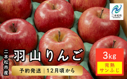 [2024年12月上旬以降発送]羽山りんご 完熟サンふじ 3kg 人気 ランキング おすすめ ギフト ふるさと 納税 福島 ふくしま 二本松市 送料無料[羽山果樹組合]